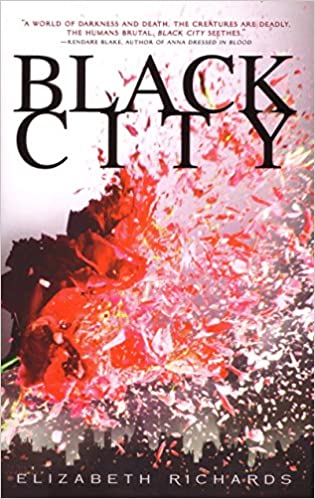 Black City (Black City Chronicles, Book 1)